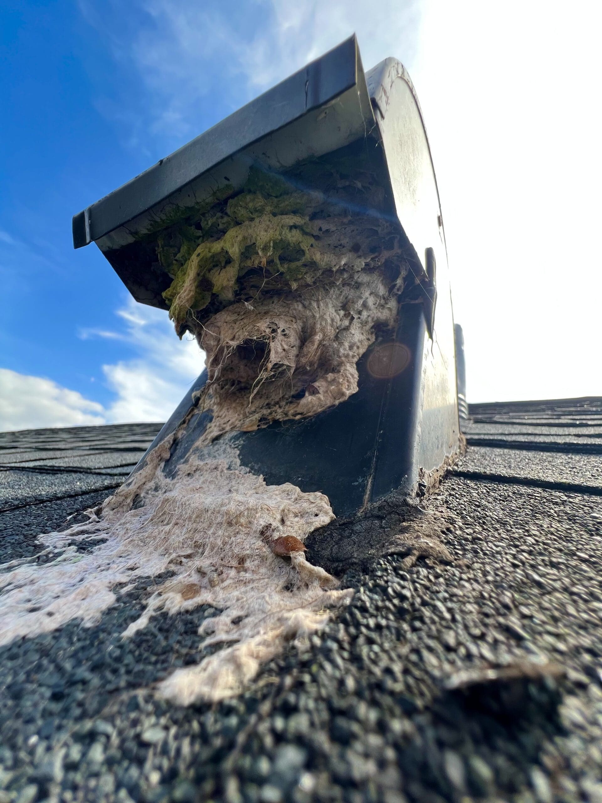 Exterior Dryer Vent Cleaning in Riverview Florida